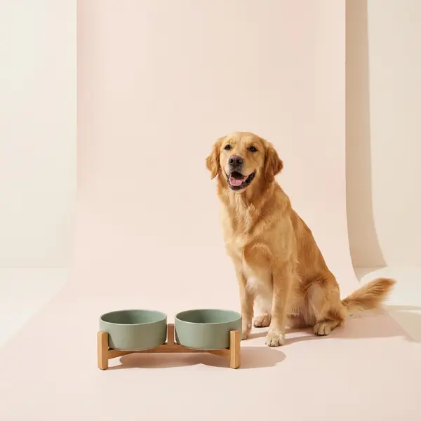 Pet Brand AI Product Photoshoot (6 Shots)