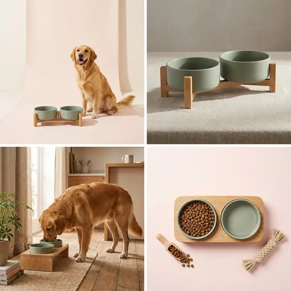 Pet Brand AI Product Photoshoot (6 Shots)